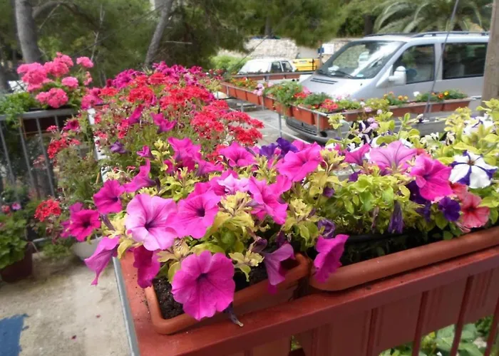 Apartman 38 - With Balcony And Sea View Sobra